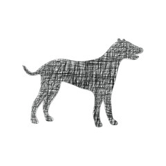 dog with line design