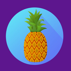 Tropical fruit pineapple icon on blue background in a circle. Flat vector illustration.