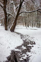 Landscape with views of the stream in the winter forest
