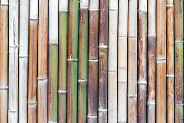 Ancient bamboo border wall made from bamboo sticks