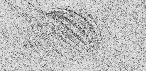 gray marble chips texture, abstract background. Pattern for wallpaper.