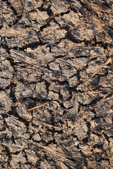 Land with dry cracked ground