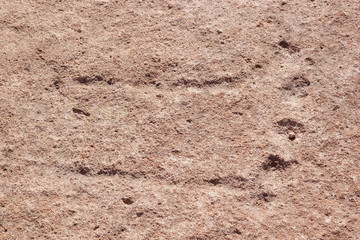 Campo Las Tobas a site with rock art in which the engravings were made on the ground, Argentina