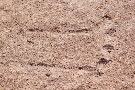 Campo Las Tobas a site with rock art in which the engravings were made on the ground, Argentina