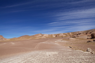Fototapeta premium Landscape in the Puna de Atacama, Argentina