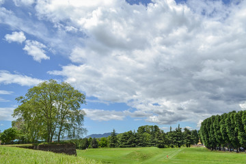 The view from the Lucca city wall