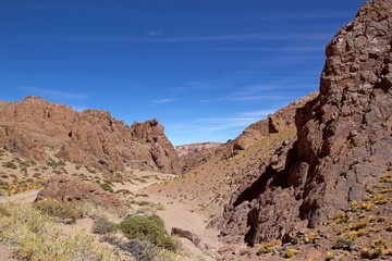 Fototapeta na wymiar Canyon in the Puna de Atacama, Argentina