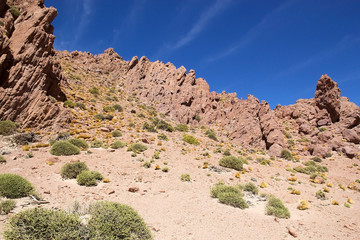 Fototapeta premium Canyon in the Puna de Atacama, Argentina