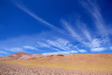 Fototapeta na wymiar Amazing sky and peruvian feathergrass in the Puna de Atacama, Argentina