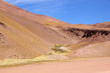 Fototapeta na wymiar Landscape in the Puna de Atacama, Argentina