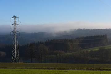 bois Ardennes foret electricité