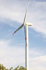 Suburban landscape. Windmills on farm among fields. Sunny summer day. Blue sky with white clouds....