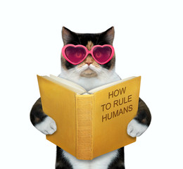 The multicolor cat in pink heart shaped glasses is reading a book called how to rule humans. White...