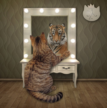 The beige cat is staring in the mirror at home. He sees the tiger in his reflection.