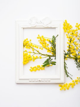 Yellow mimosa flowers in beautiful picture frame on white background. Traditional symbol gift for womans day on March, 8. Holiday concept