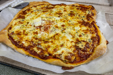 homemade cheese pizza on a table
