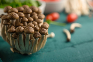 Small mushrooms, a lot. Asia market, close up. Horizontal frame.
