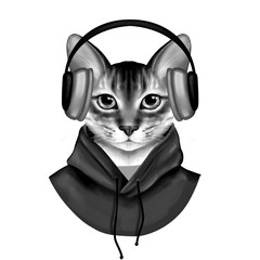 Black and white cat listening a music. Cute digital illustration