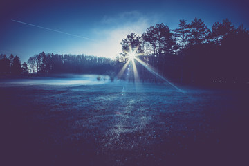 frosty morning on meadow near forest, light effects of dawn sun