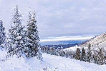 Beskid Zywiecki. Winter in Poland. Captured during trekking on the way to Rysianka, near Zabnica village. Snowy Winter Mountains.