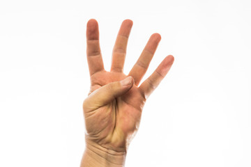 Four fingers pointed upward, hand signal isolated on a white background. Communication, waving.