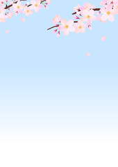 桜と空01