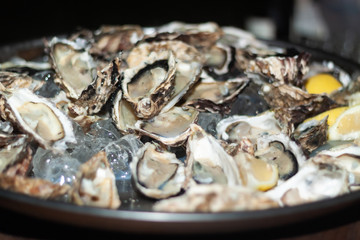 Oysters at an event