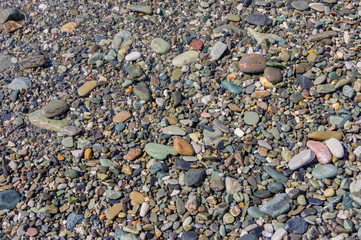 gravel texture background. Pebble beach cose up