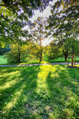 Obraz premium spring in the park
