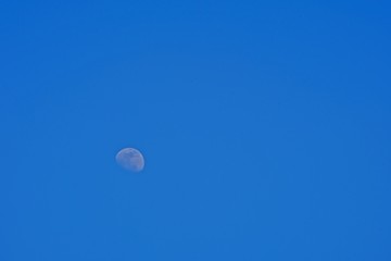 Light half moon with blue sky in the early evening.