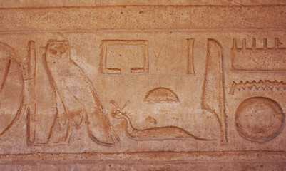 hieroglyph texture from Egypt karnak