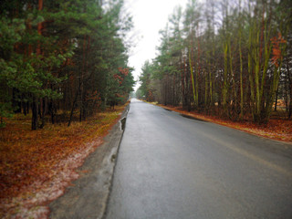 road in autumn diorama