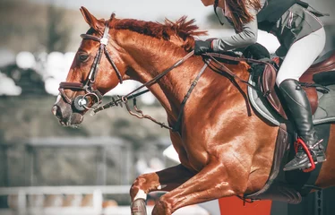 Rolgordijnen Een zuringpaard in sportuitrusting met een meisjesruiter in het zadel springt over de barrière bij een springconcours. ©  Valeri Vatel