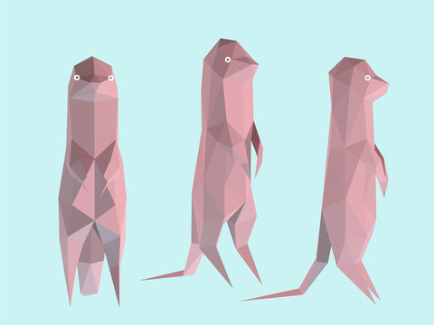 Pastel Meerkat. Set of Pink Meerkats on Pastel Blue Background. Low Poly Vector 3D Rendering