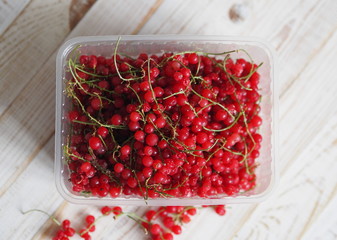 A bowl of frozen red currants on a white plate or table. Harvesting berries for the winter. Preservation of the crop in the freezer at home.