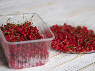 A bowl of frozen red currants on a white plate or table. Harvesting berries for the winter. Preservation of the crop in the freezer at home.