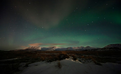 Northern Lights, Area of Thingvellir, Iceland, Europe.