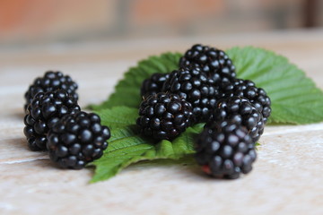 Multi-colored fruits of blackberry on wooden boards. Agriculture. Harvest
