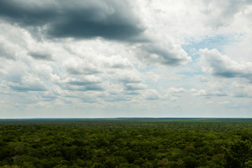 Fototapeta na wymiar Aerial view on the green rainforest
