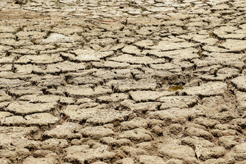 Dry lake bed