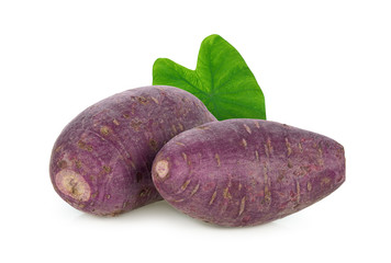 raw purple sweet potato or yam with leaf solated on white background