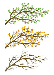 Fototapeta premium Tree branch with green, yellow leaves. Spring, autumn, bare twigs. Vector graphic illustration isolated on transparent background. Artwork design element.