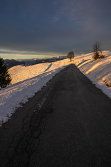a road in mount grappa - Veneto italy