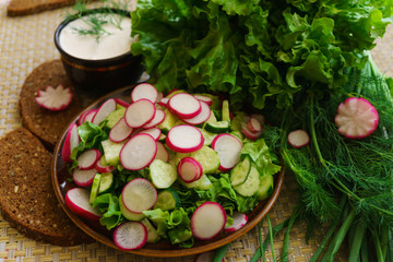 Cooked salad of cucumber, radish and herbs, seasoned with sour cream.
