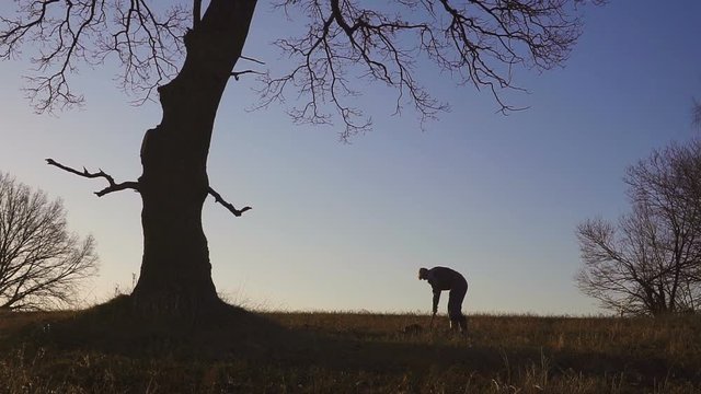 The silhouette of the workers shoveling the soil with a spade in the evening. Farmer