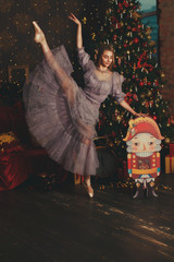 The Nutcracker New Year's Tale