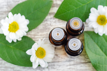 Three small bottles with essential oils. Old wooden background with green leaves and daisy flowers. Aromatherapy, spa and herbal medicine concept. Copy space, top view.