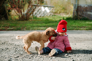 baby girl is playing with a puppy