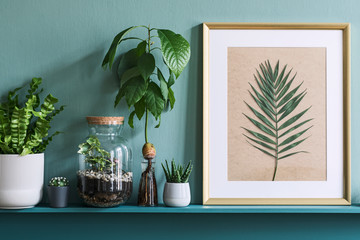 Interior design of living room with gold mock up photo frame on the green shelf with beautiful plants in different hipster and design pots. Elegant personal accessories. Home gardening. Template. 