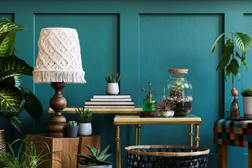 Stylish composition of home garden interior filled a lot of beautiful plants, cacti, succulents,...